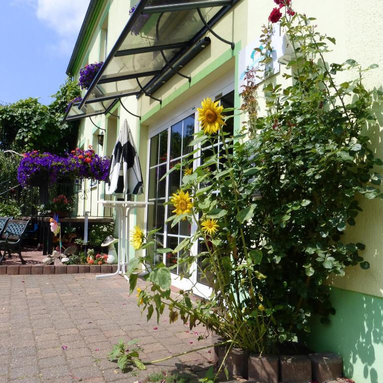 Land-Gut-Hotel Schenkenberger Hof Delitzsch Zewnętrze zdjęcie