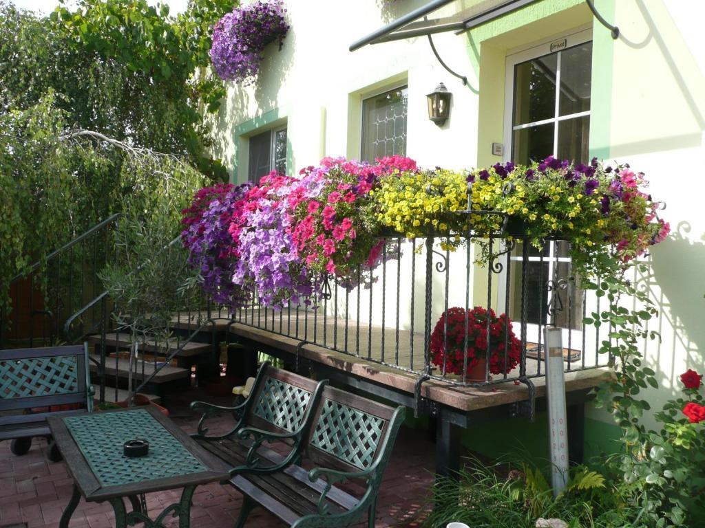 Land-Gut-Hotel Schenkenberger Hof Delitzsch Zewnętrze zdjęcie